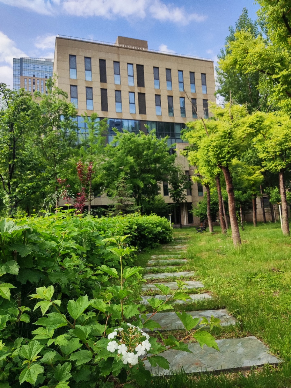 京东CBD实景图 京东CBD实景图