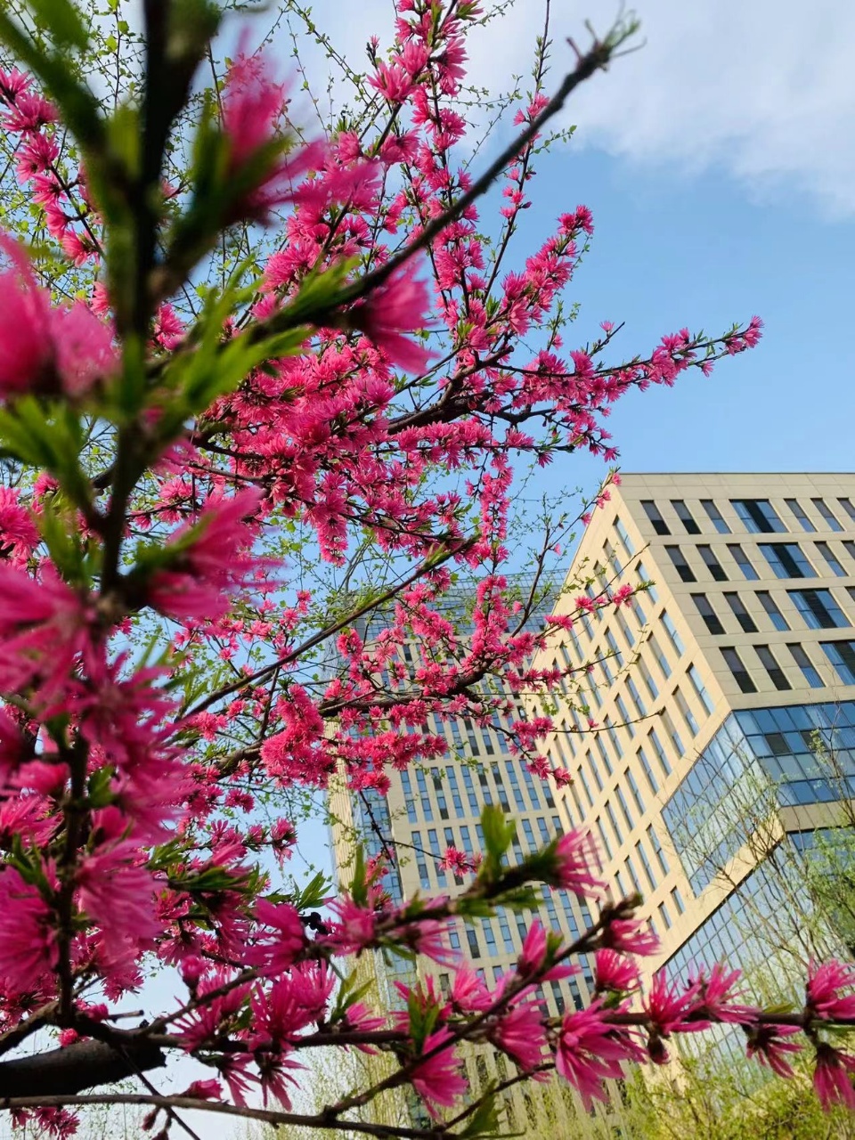 京东CBD实景图 京东CBD实景图