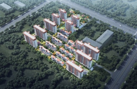 御东君临